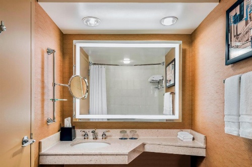 Sheraton Toronto Airport Hotel & Conference Centre image 7